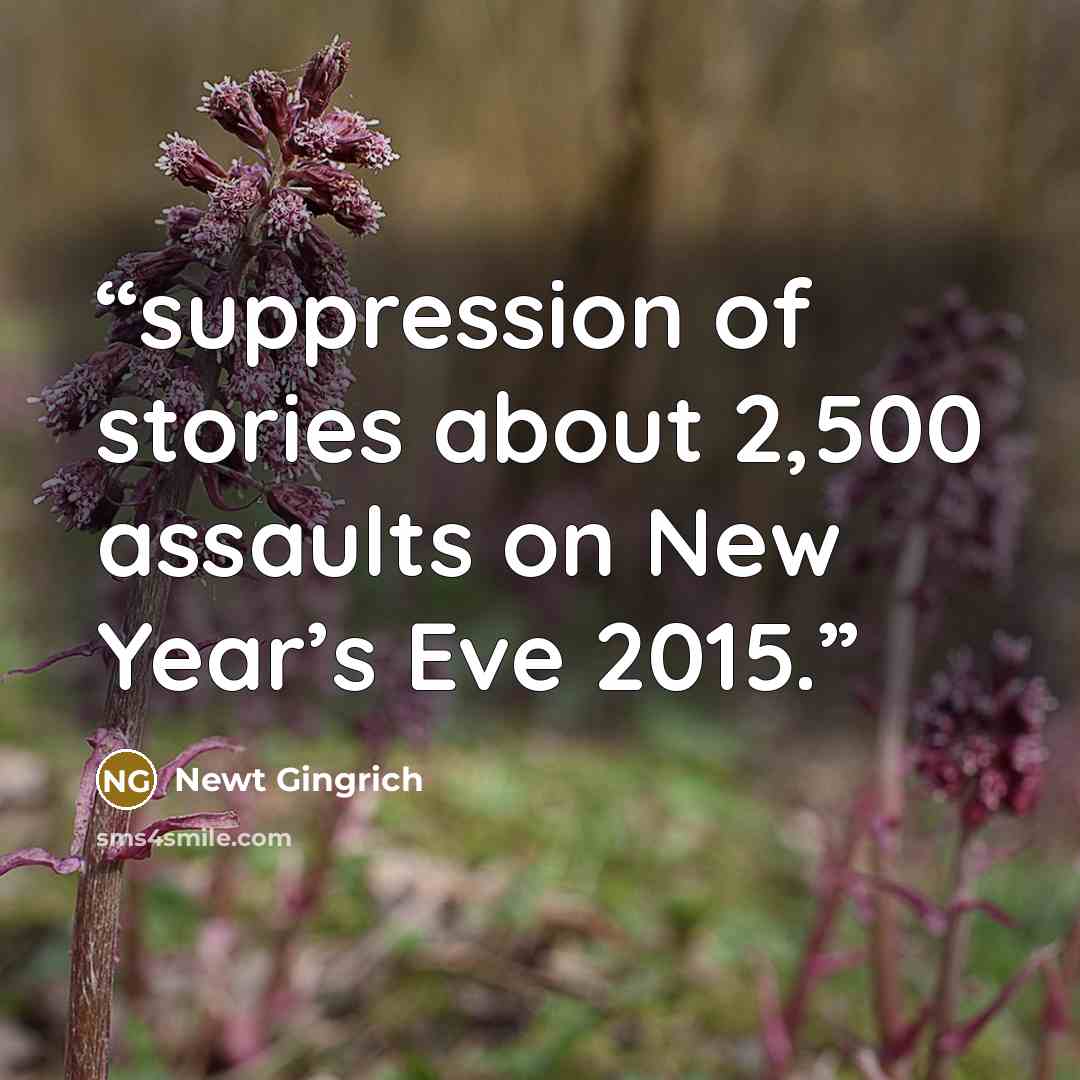 “suppression of stories about 2,500 assaults on New Year’s Eve 2015.” quote by Newt Gingrich
