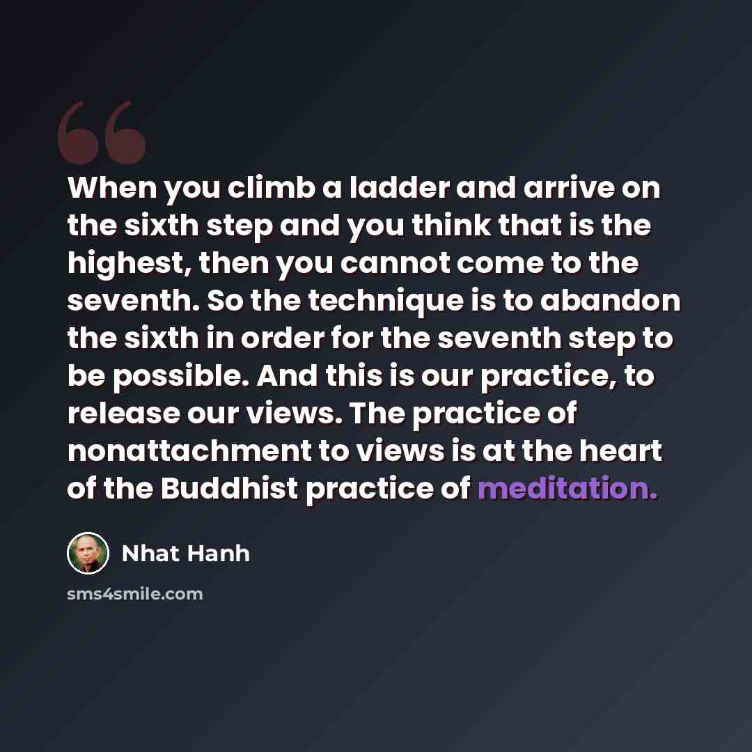 “When you climb a ladder and arrive on the sixth step and you think that is the highest, then you cannot come to the seventh. So the technique is to abandon the sixth in order for the seventh step to be possible. And this is our practice, to release our views. The practice of nonattachment to views…” quote by Nhat Hanh