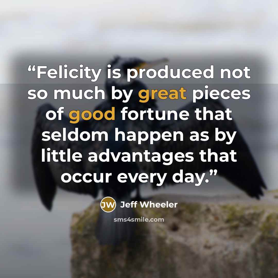 “Felicity is produced not so much by great pieces of good fortune that seldom happen as by little advantages that occur every day.” quote by Jeff Wheeler