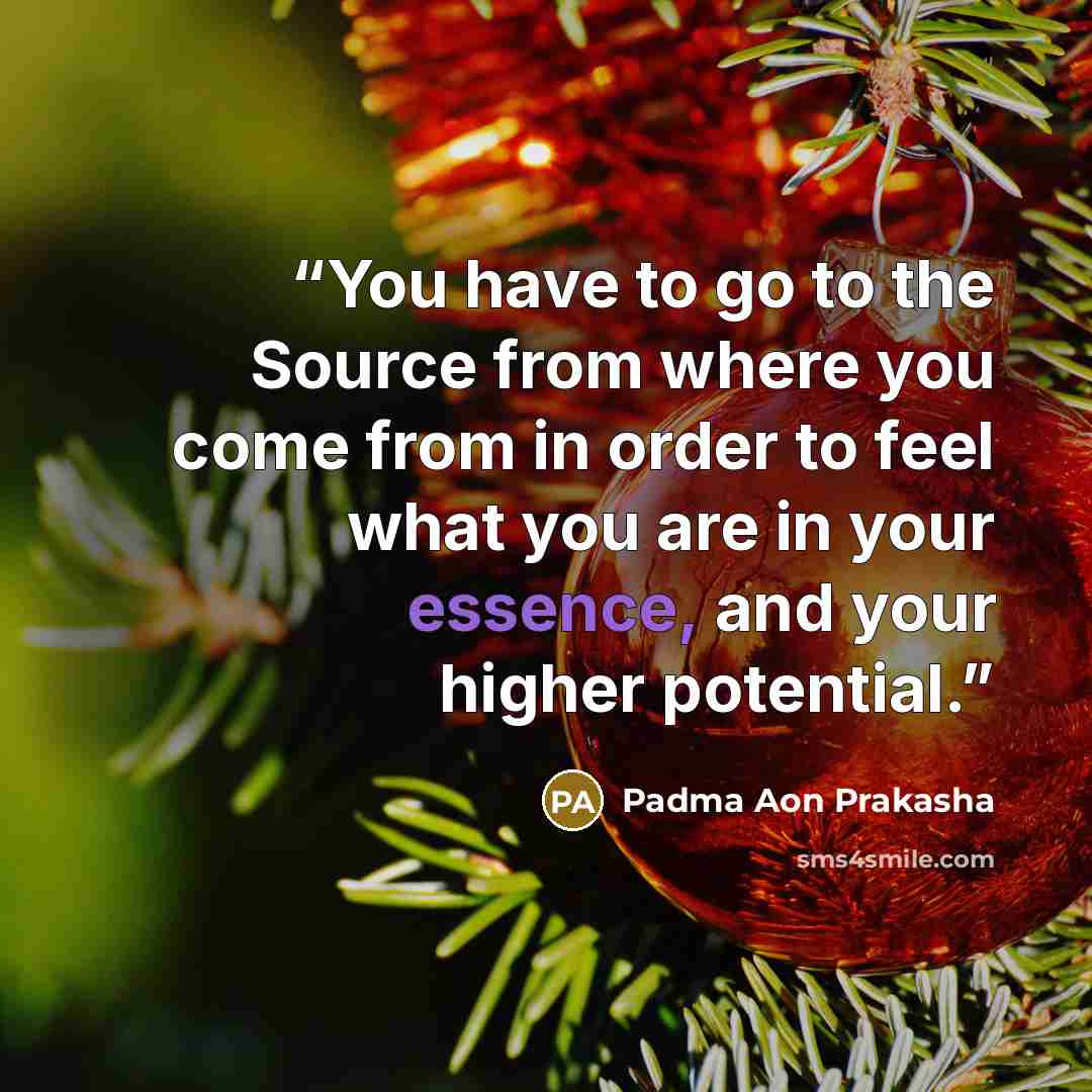 “You have to go to the Source from where you come from in order to feel what you are in your essence, and your higher potential.” quote by Padma Aon Prakasha