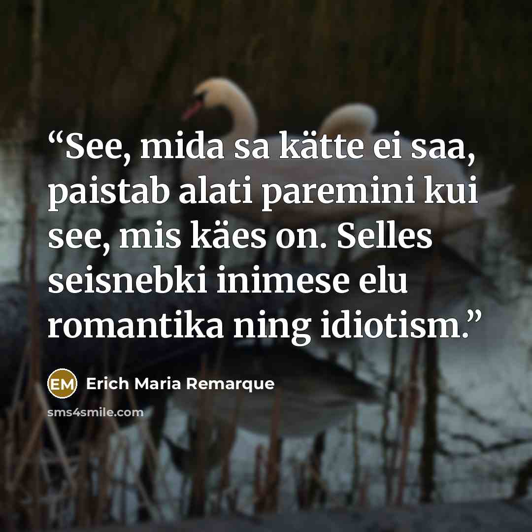 “See, mida sa kätte ei saa, paistab alati paremini kui see, mis käes on. Selles seisnebki inimese elu romantika ning idiotism.” quote by Erich Maria Remarque