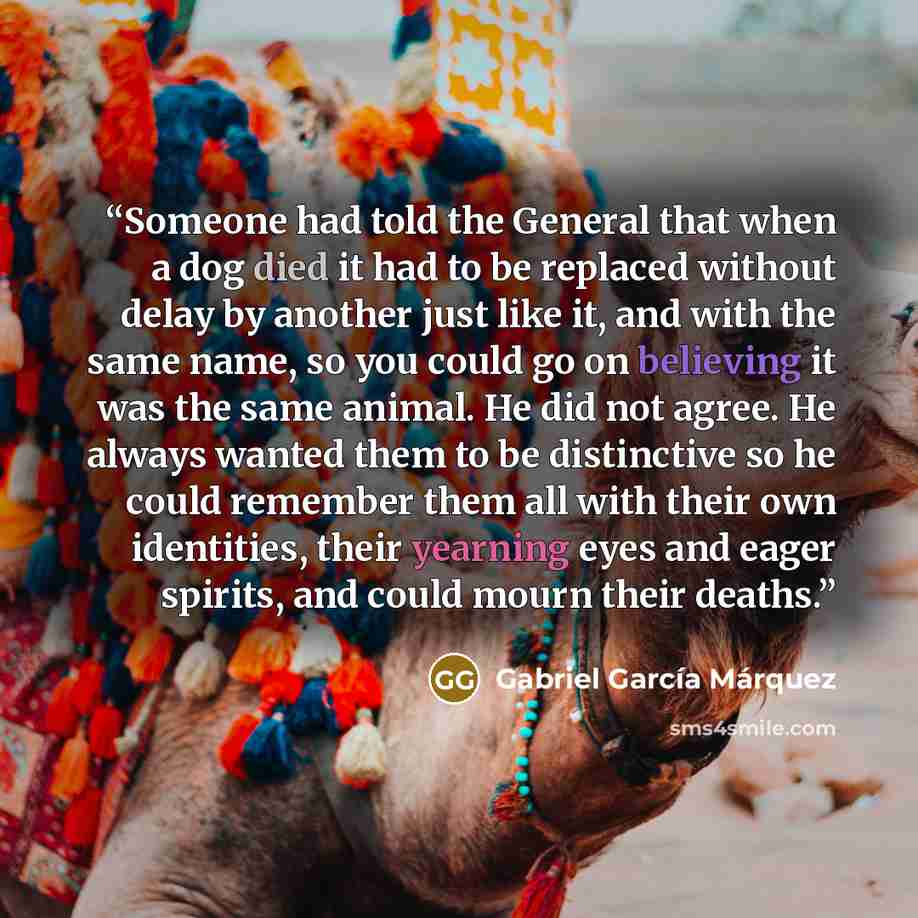 “Someone had told the General that when a dog died it had to be replaced without delay by another just like it, and with the same name, so you could go on believing it was the same animal. He did not agree. He always wanted them to be distinctive so he could remember them all with their own…” quote by Gabriel García Márquez