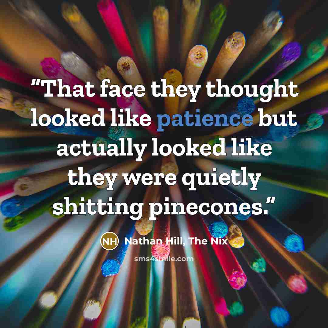 “That face they thought looked like patience but actually looked like they were quietly shitting pinecones.” quote by Nathan Hill, The Nix