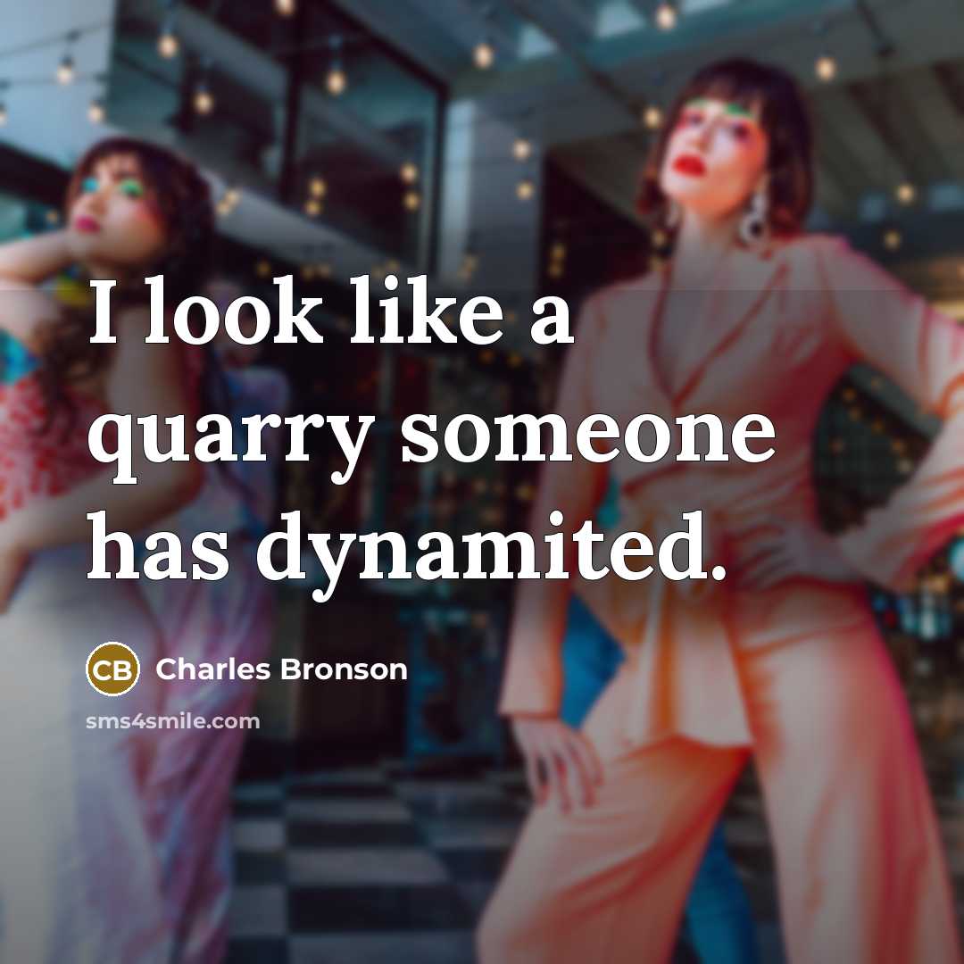 “I look like a quarry someone has dynamited.” quote by Charles Bronson