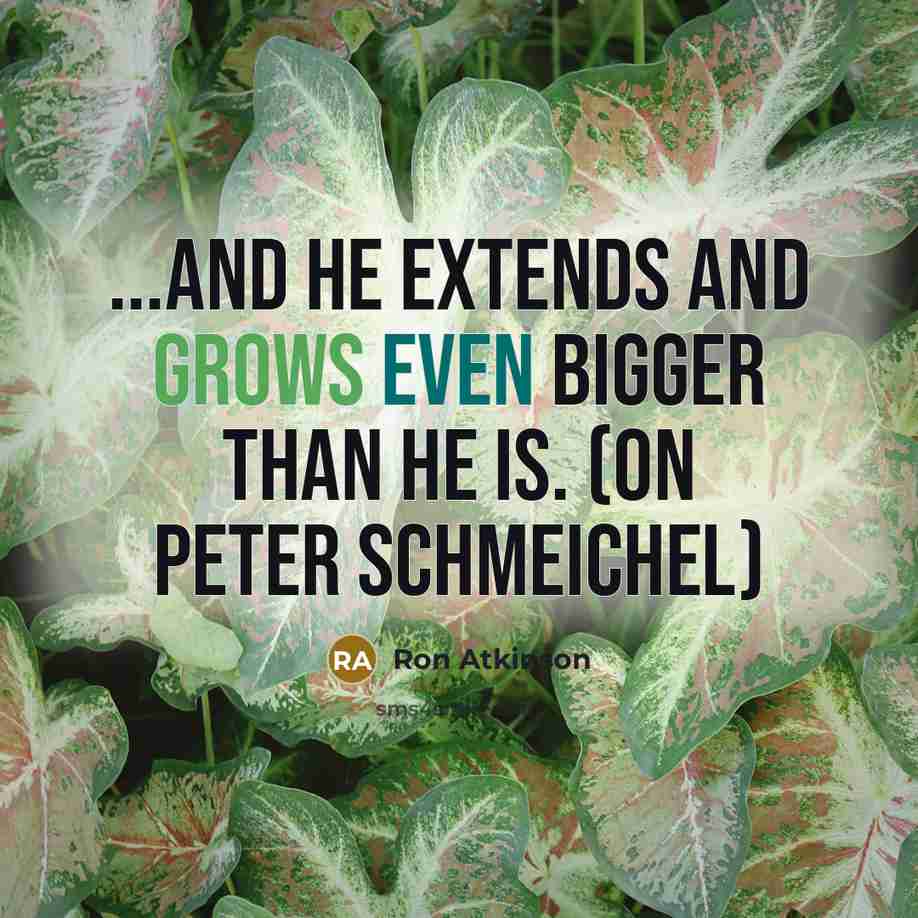 “...and he extends and grows even bigger than he is. (on Peter Schmeichel)” quote by Ron Atkinson