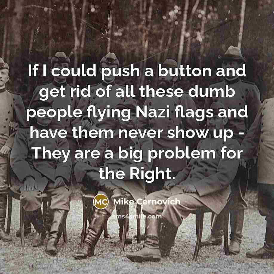 “If I could push a button and get rid of all these dumb people flying Nazi flags and have them never show up - They are a big problem for the Right.” quote by Mike Cernovich