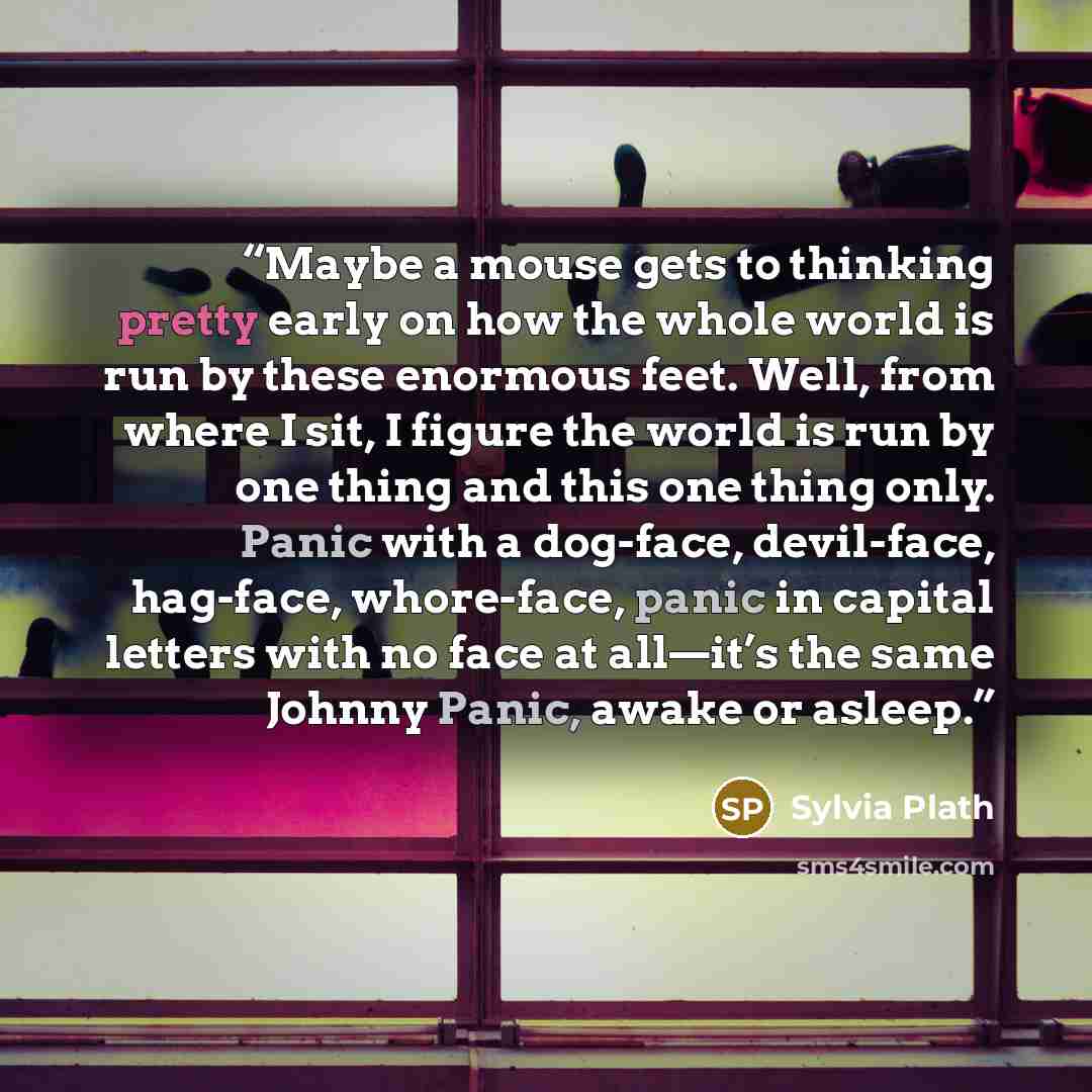 “Maybe a mouse gets to thinking pretty early on how the whole world is run by these enormous feet. Well, from where I sit, I figure the world is run by one thing and this one thing only. Panic with a dog-face, devil-face, hag-face, whore-face, panic in capital letters with no face at all—it’s the…” quote by Sylvia Plath