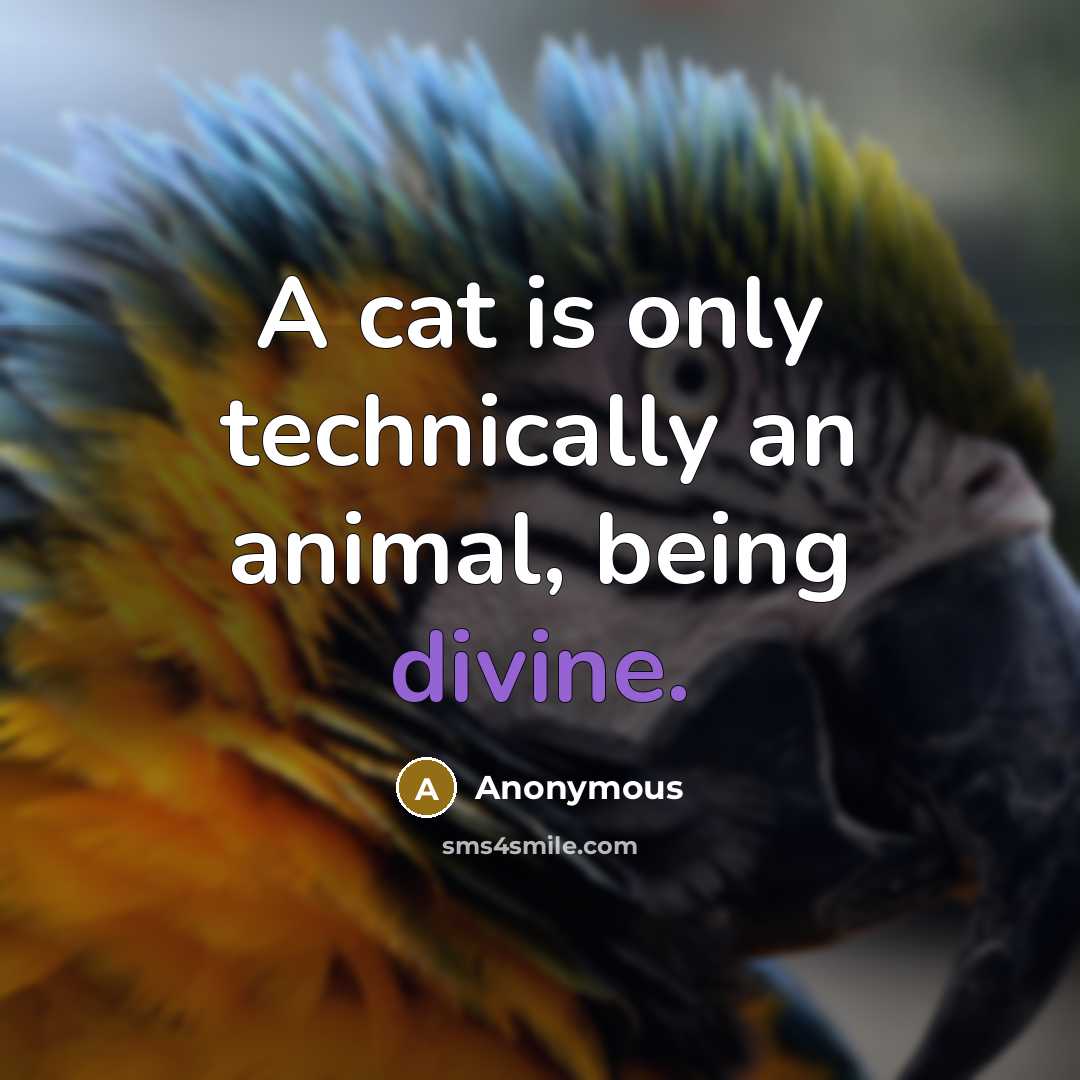 “A cat is only technically an animal, being divine.” quote by Anonymous