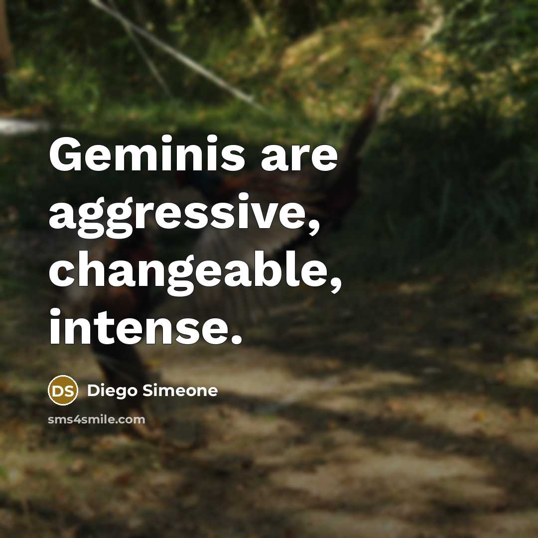 “Geminis are aggressive, changeable, intense.” quote by Diego Simeone