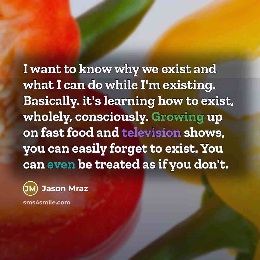 “I want to know why we exist and what I can do while I'm existing. Basically. it's learning how to exist, wholely, consciously. Growing up on fast food and television shows, you can easily forget to exist. You can even be treated as if you don't.” quote by Jason Mraz