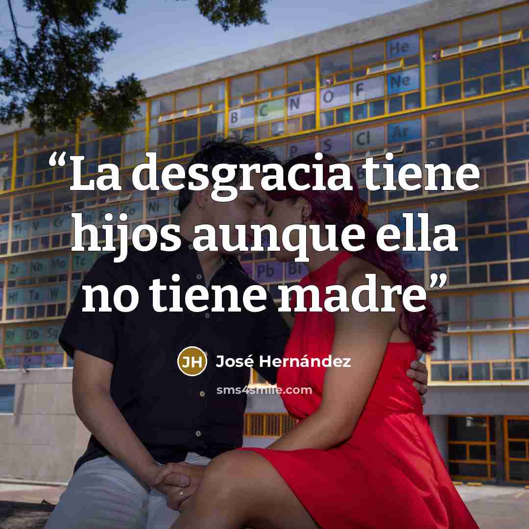 “La desgracia tiene hijos aunque ella no tiene madre” quote by José Hernández