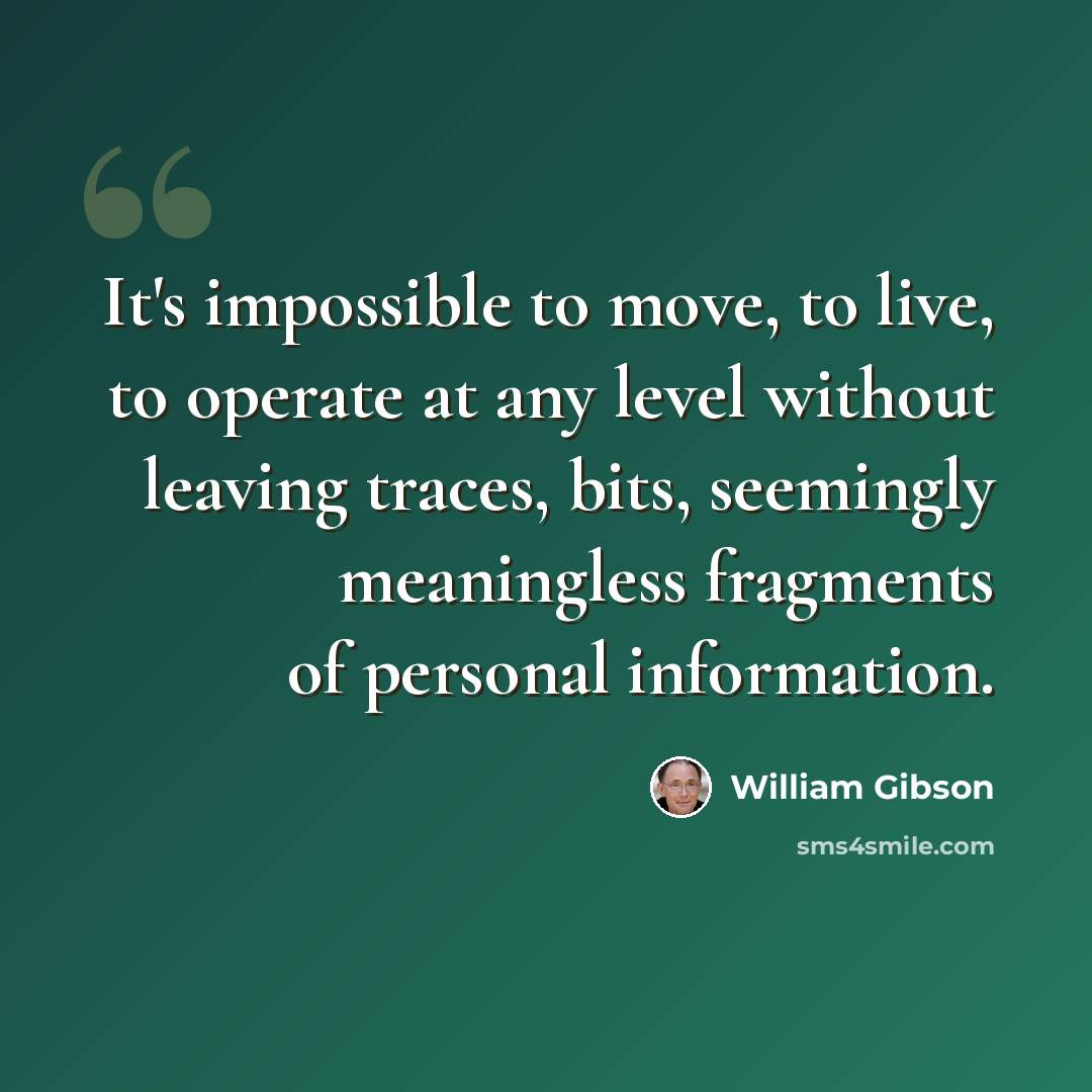 “It's impossible to move, to live, to operate at any level without leaving traces, bits, seemingly meaningless fragments of personal information.” quote by William Gibson
