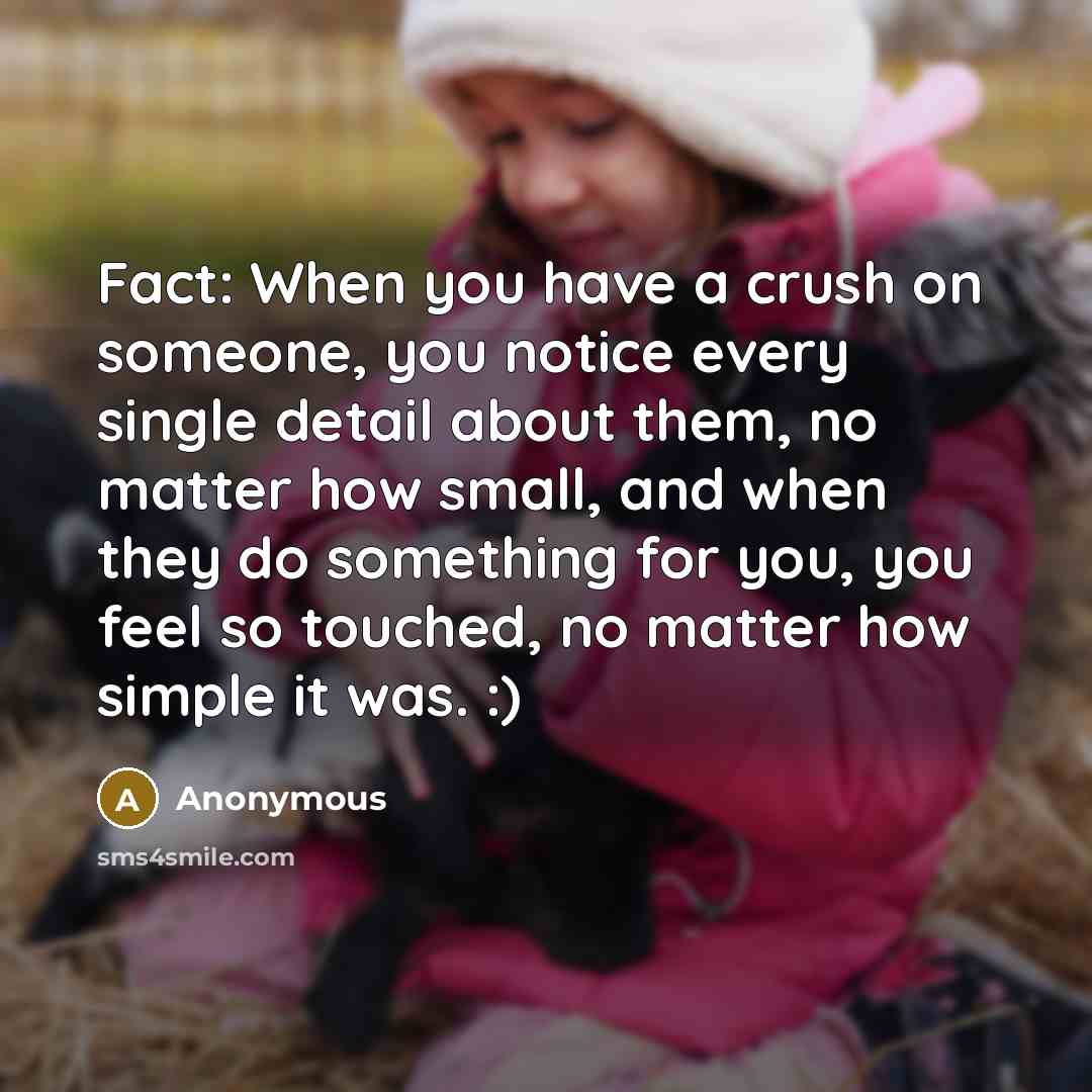 “Fact: When you have a crush on someone, you notice every single detail about them, no matter how small, and when they do something for you, you feel so touched, no matter how simple it was. :)” quote by Anonymous