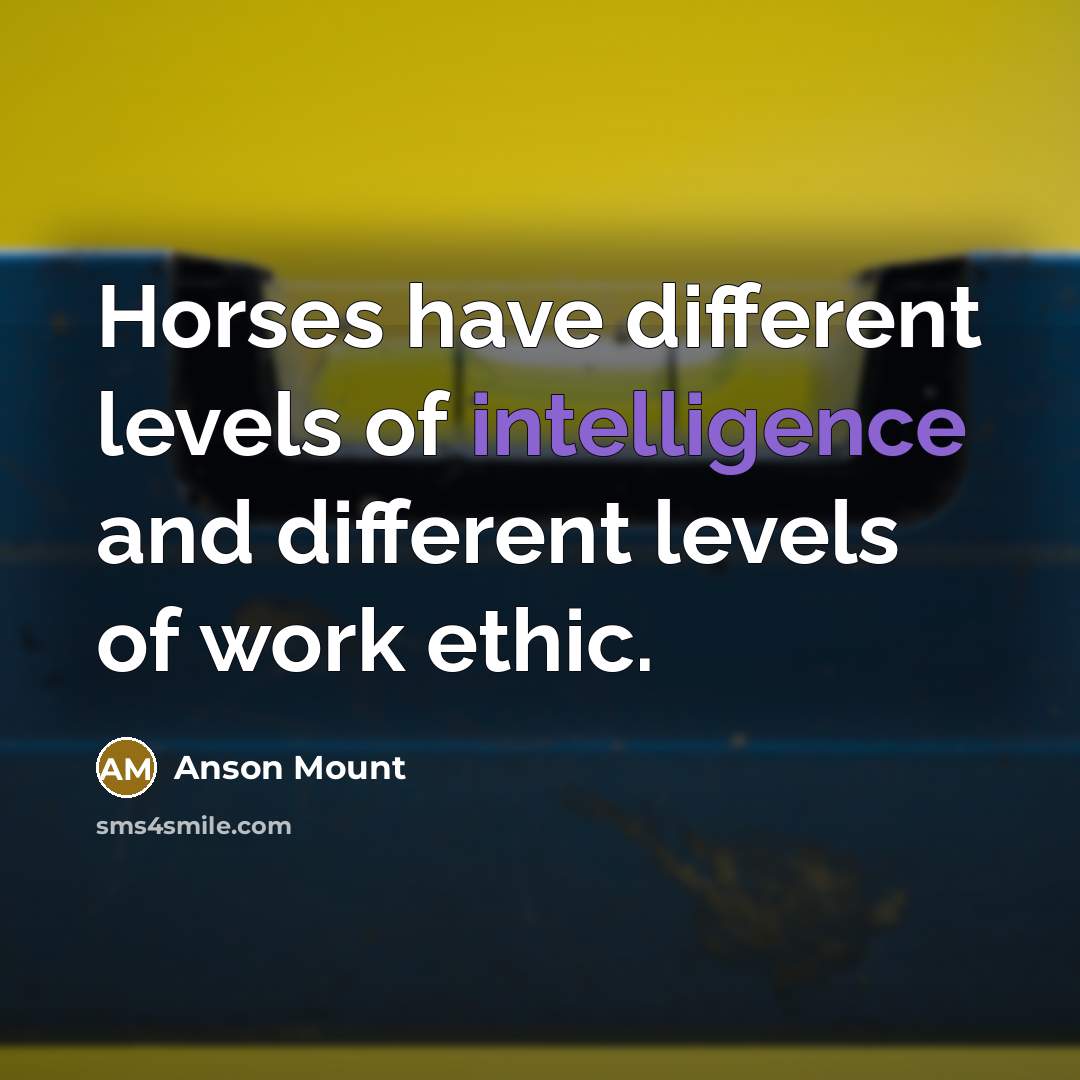 “Horses have different levels of intelligence and different levels of work ethic.” quote by Anson Mount