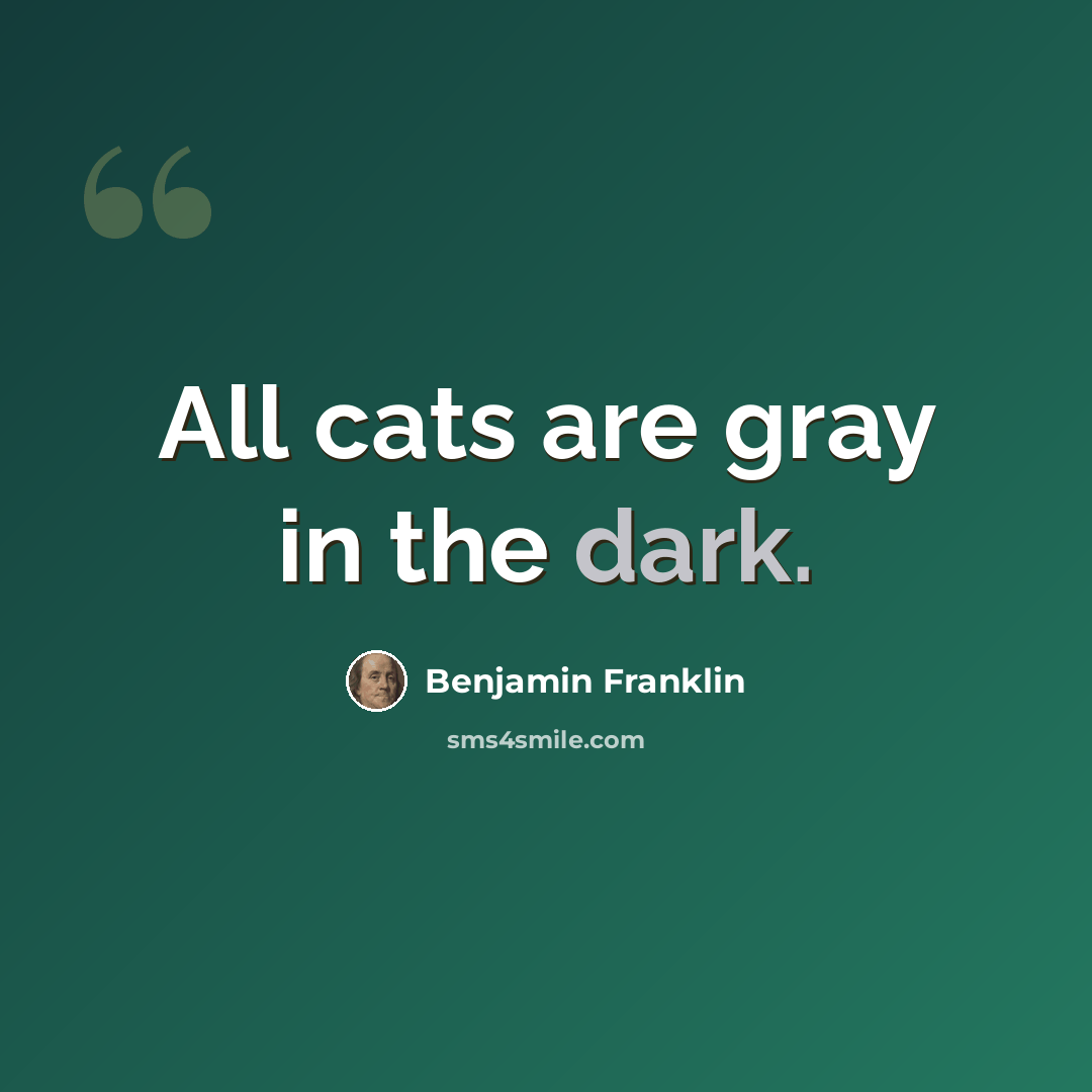 “All cats are gray in the dark.” quote by Benjamin Franklin