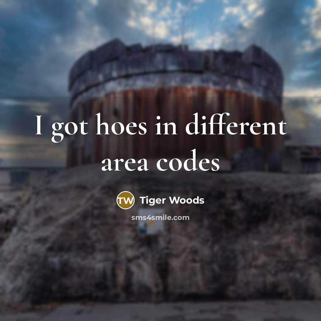 “I got hoes in different area codes” quote by Tiger Woods