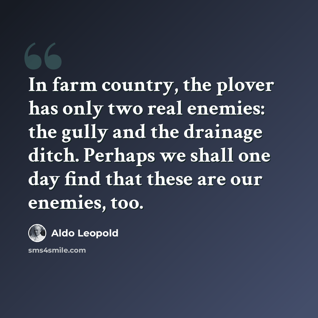“In farm country, the plover has only two real enemies: the gully and the drainage ditch. Perhaps we shall one day find that these are our enemies, too.” quote by Aldo Leopold