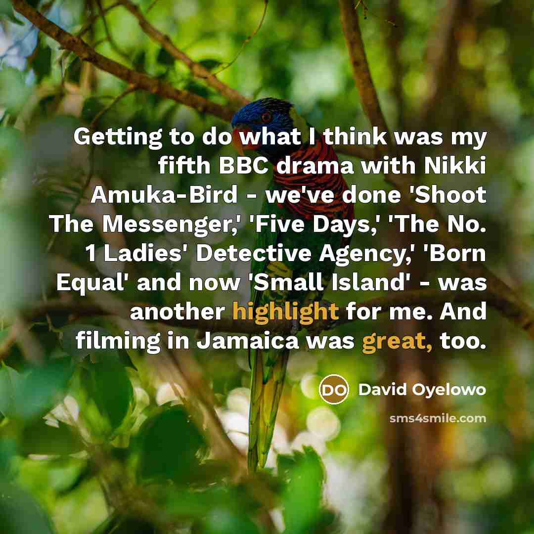 “Getting to do what I think was my fifth BBC drama with Nikki Amuka-Bird - we've done 'Shoot The Messenger,' 'Five Days,' 'The No. 1 Ladies' Detective Agency,' 'Born Equal' and now 'Small Island' - was another highlight for me. And filming in Jamaica was great, too.” quote by David Oyelowo