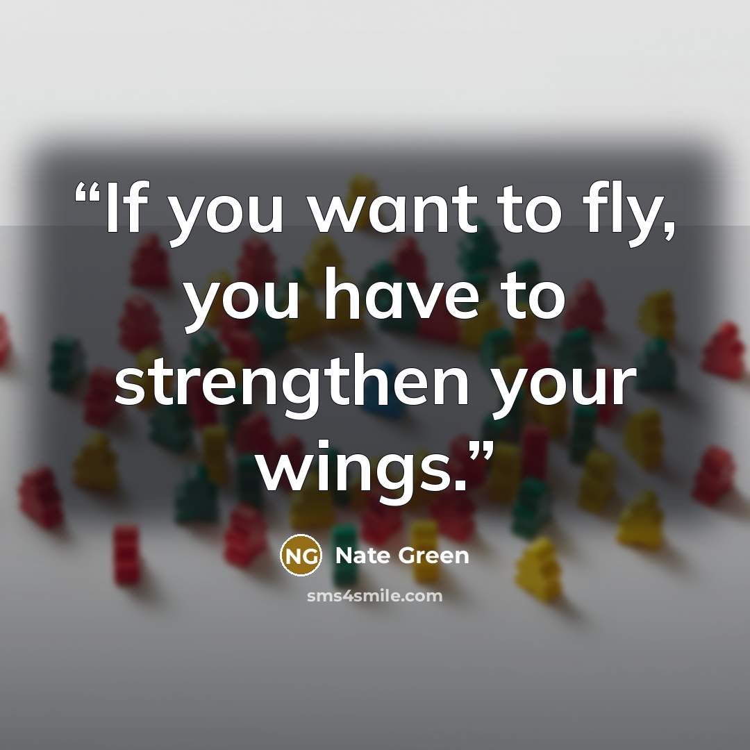 “If you want to fly, you have to strengthen your wings.” quote by Nate Green