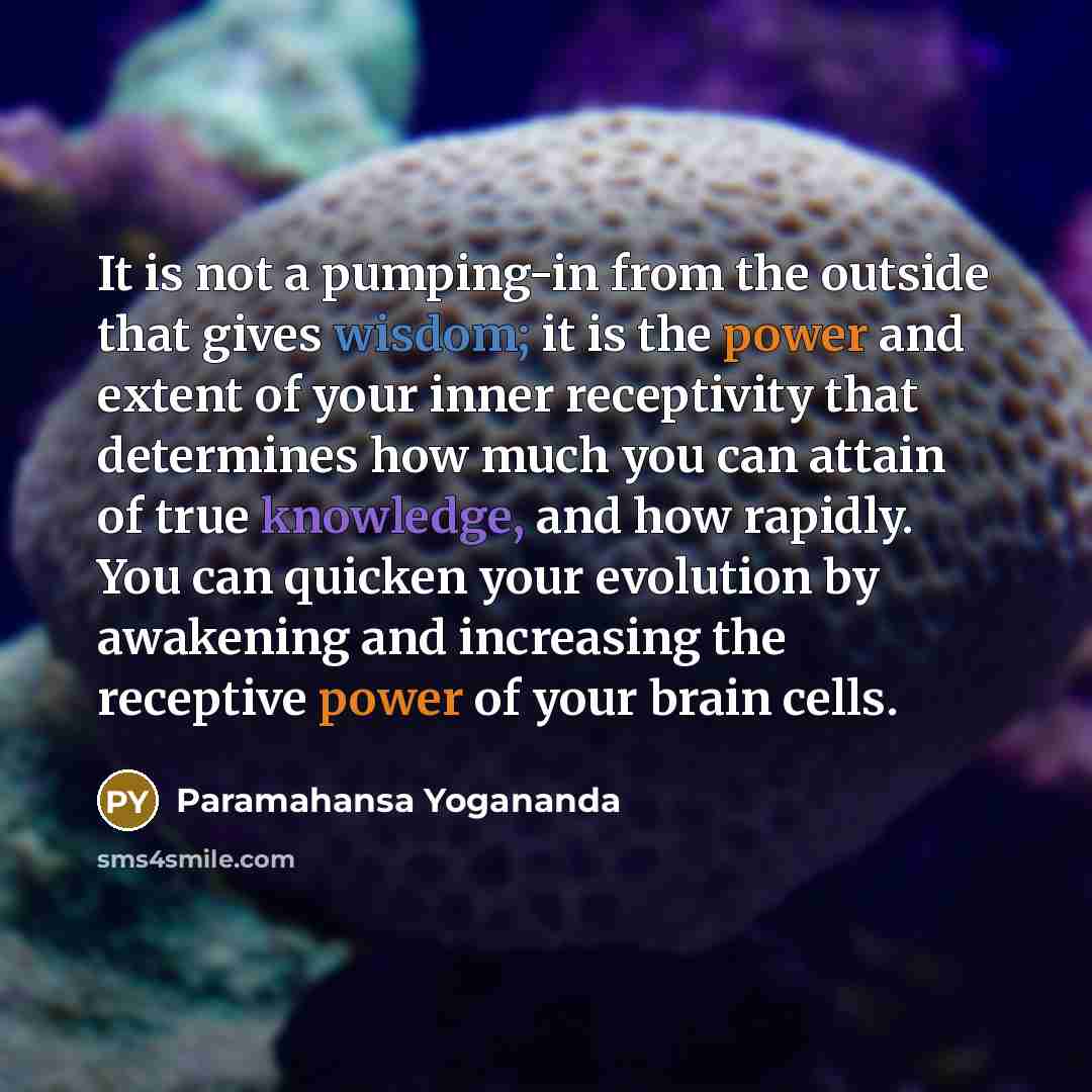 “It is not a pumping-in from the outside that gives wisdom; it is the power and extent of your inner receptivity that determines how much you can attain of true knowledge, and how rapidly. You can quicken your evolution by awakening and increasing the receptive power of your brain cells.” quote by Paramahansa Yogananda