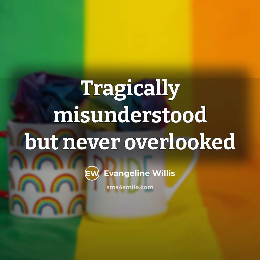 “Tragically misunderstood but never overlooked” quote by Evangeline Willis