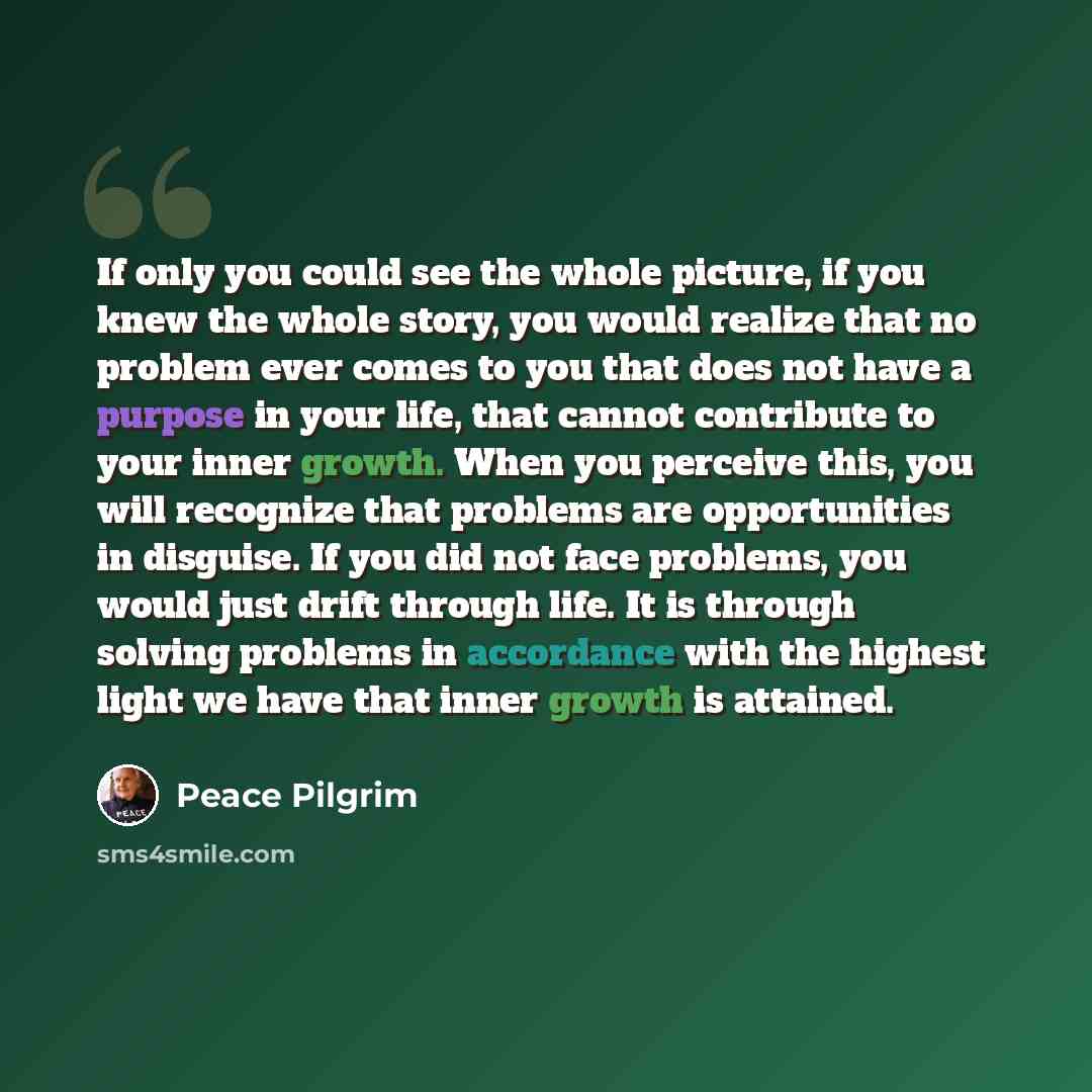 “If only you could see the whole picture, if you knew the whole story, you would realize that no problem ever comes to you that does not have a purpose in your life, that cannot contribute to your inner growth. When you perceive this, you will recognize that problems are opportunities in disguise…” quote by Peace Pilgrim