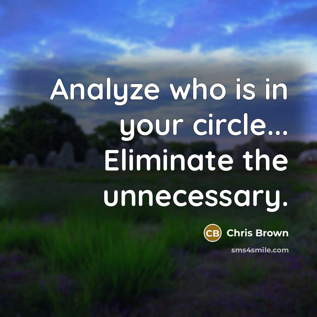 “Analyze who is in your circle... Eliminate the unnecessary.” quote by Chris Brown
