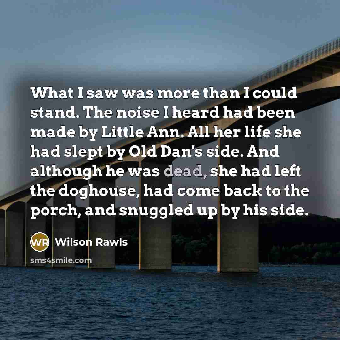 “What I saw was more than I could stand. The noise I heard had been made by Little Ann. All her life she had slept by Old Dan's side. And although he was dead, she had left the doghouse, had come back to the porch, and snuggled up by his side.” quote by Wilson Rawls