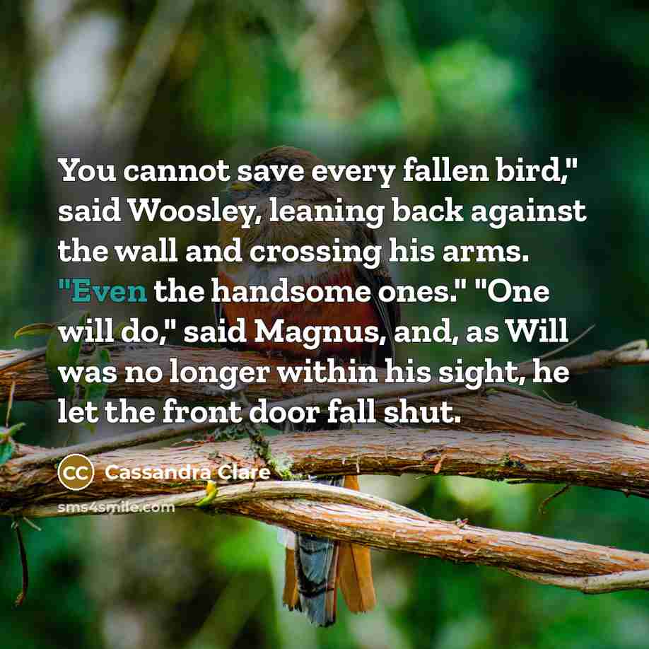 “You cannot save every fallen bird," said Woosley, leaning back against the wall and crossing his arms. "Even the handsome ones." "One will do," said Magnus, and, as Will was no longer within his sight, he let the front door fall shut.” quote by Cassandra Clare