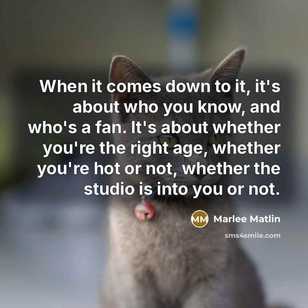 “When it comes down to it, it's about who you know, and who's a fan. It's about whether you're the right age, whether you're hot or not, whether the studio is into you or not.” quote by Marlee Matlin