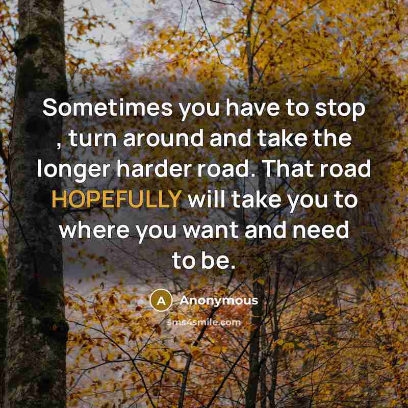 “Sometimes you have to stop , turn around and take the longer harder road. That road HOPEFULLY will take you to where you want and need to be.” quote by Anonymous