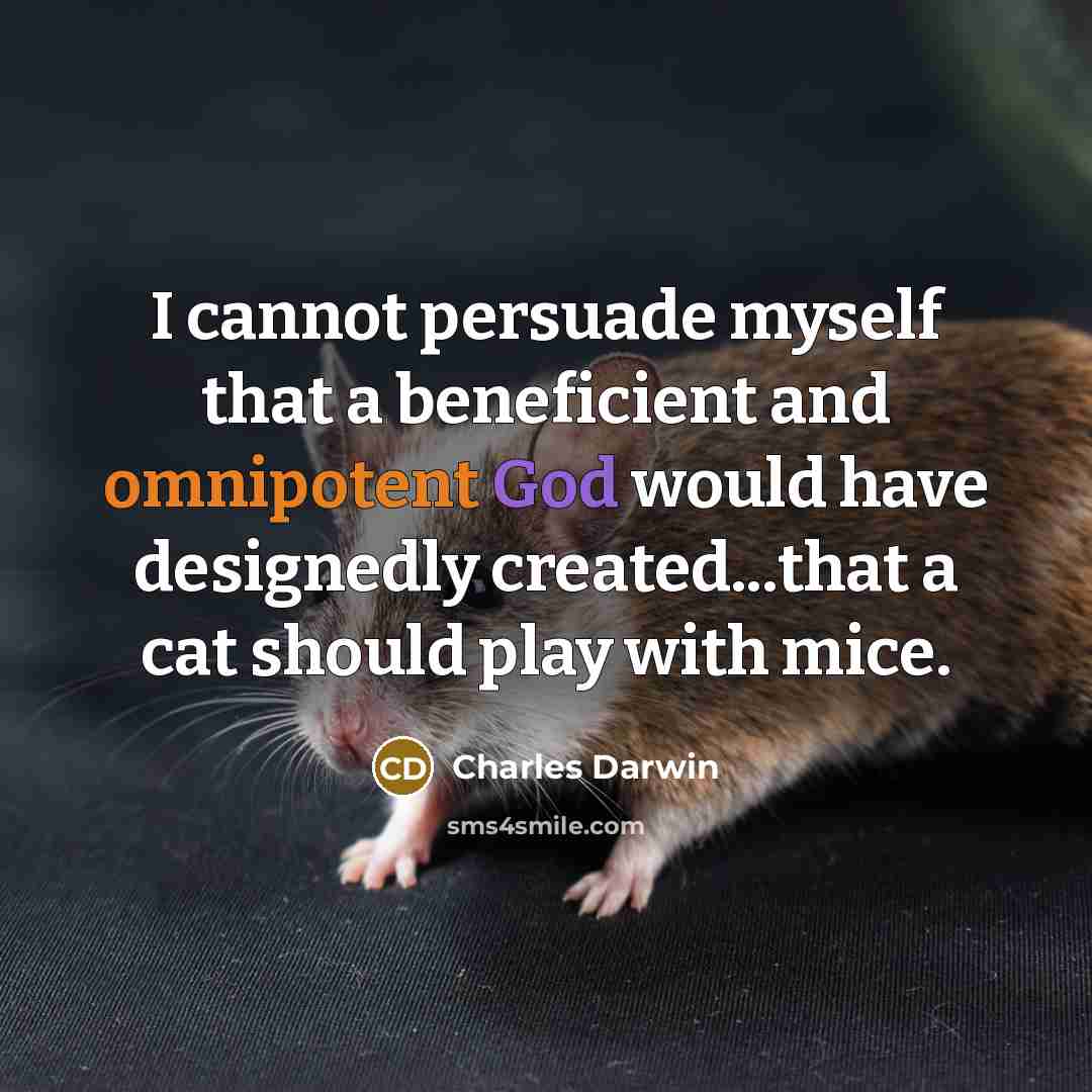 “I cannot persuade myself that a beneficient and omnipotent God would have designedly created...that a cat should play with mice.” quote by Charles Darwin