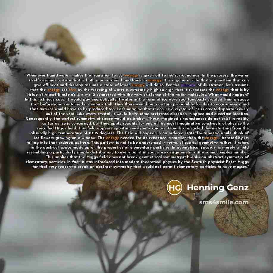 “Whenever liquid water makes the transition to ice, energy is given off to the surroundings. In the process, the water itself assumes a state that is both more ordered and lower in energy. It is a general rule that any system that can give off heat and thereby assume a state of lower energy will do…” quote by Henning Genz
