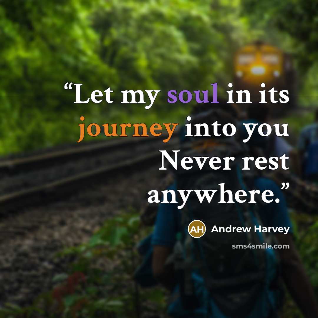 “Let my soul in its journey into you Never rest anywhere.” quote by Andrew Harvey