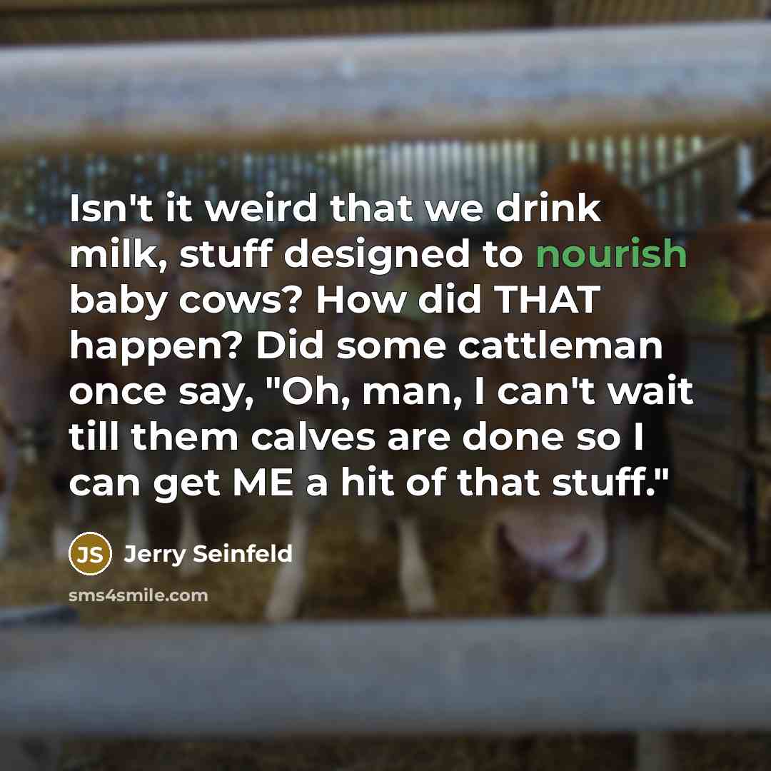 “Isn't it weird that we drink milk, stuff designed to nourish baby cows? How did THAT happen? Did some cattleman once say, "Oh, man, I can't wait till them calves are done so I can get ME a hit of that stuff."” quote by Jerry Seinfeld