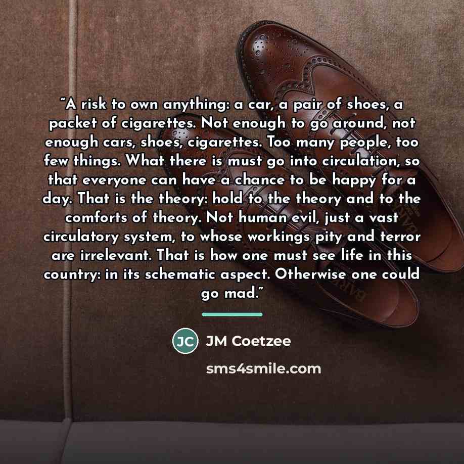 “A risk to own anything: a car, a pair of shoes, a packet of cigarettes. Not enough to go around, not enough cars, shoes, cigarettes. Too many people, too few things. What there is must go into circulation, so that everyone can have a chance to be happy for a day. That is the theory: hold to the…” quote by JM Coetzee
