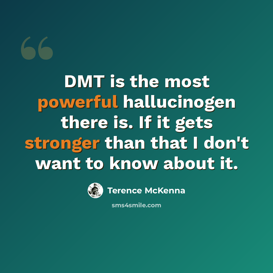 “DMT is the most powerful hallucinogen there is. If it gets stronger than that I don't want to know about it.” quote by Terence McKenna