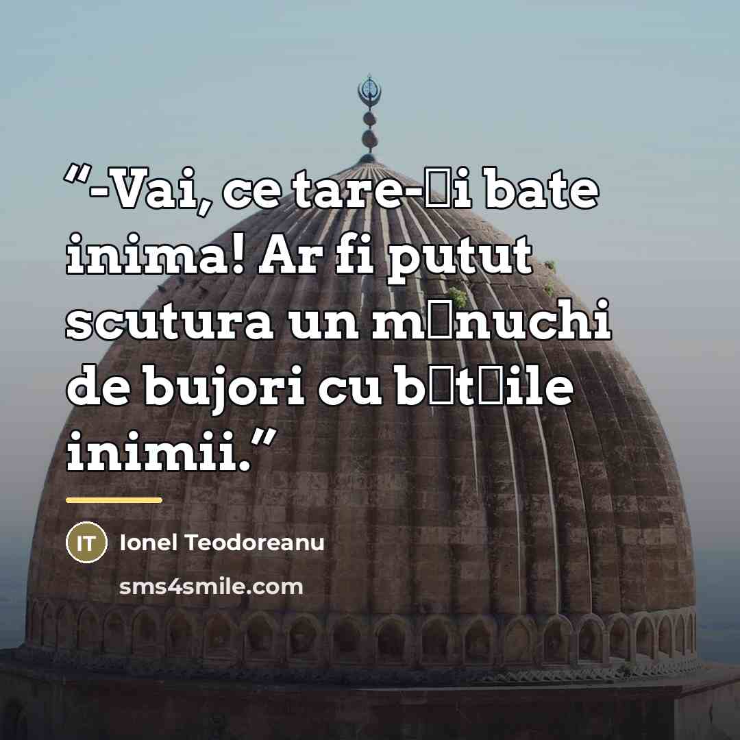 “-Vai, ce tare-ţi bate inima! Ar fi putut scutura un mănuchi de bujori cu bătăile inimii.” quote by Ionel Teodoreanu