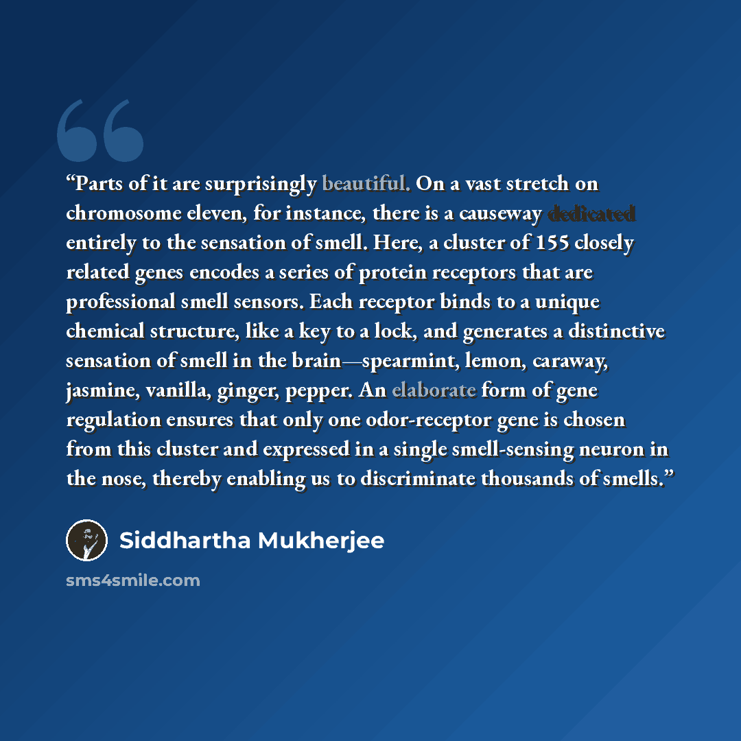 “Parts of it are surprisingly beautiful. On a vast stretch on chromosome eleven, for instance, there is a causeway dedicated entirely to the sensation of smell. Here, a cluster of 155 closely related genes encodes a series of protein receptors that are professional smell sensors. Each receptor…” quote by Siddhartha Mukherjee