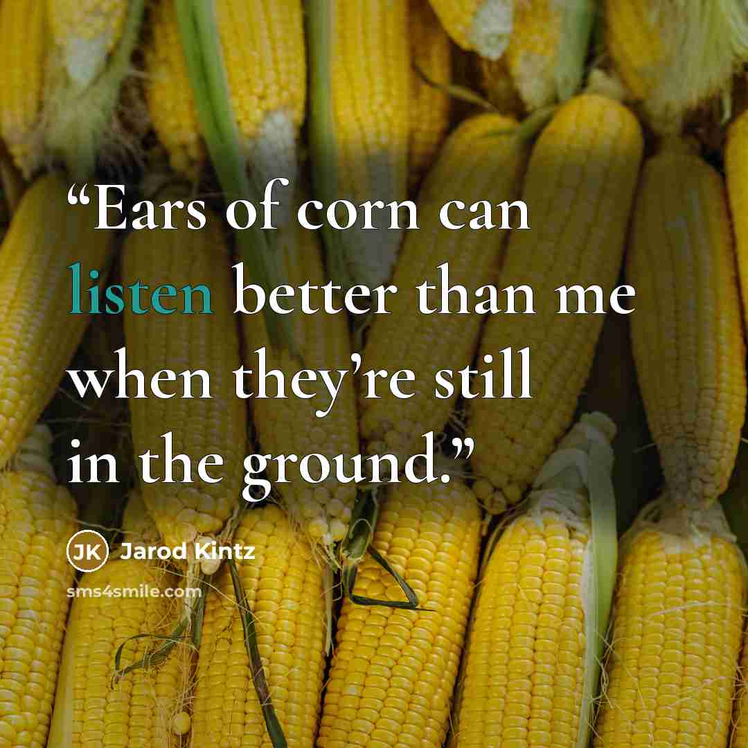 “Ears of corn can listen better than me when they’re still in the ground.” quote by Jarod Kintz