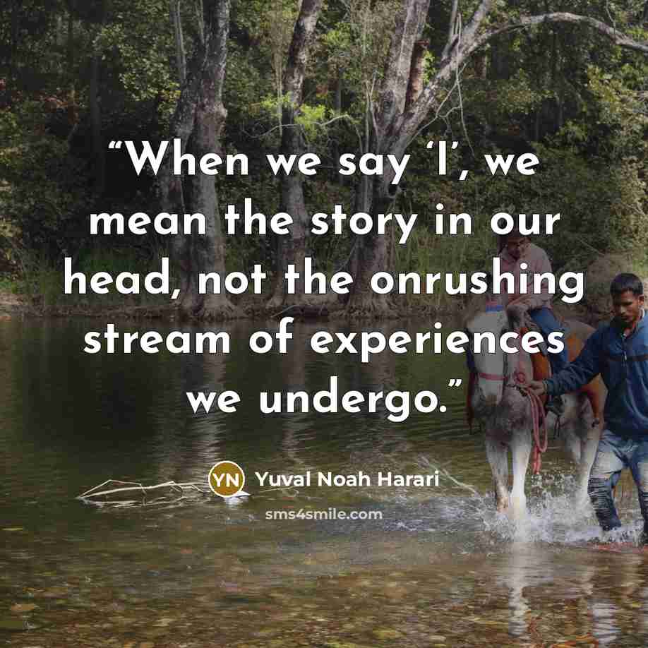 “When we say ‘I’, we mean the story in our head, not the onrushing stream of experiences we undergo.” quote by Yuval Noah Harari