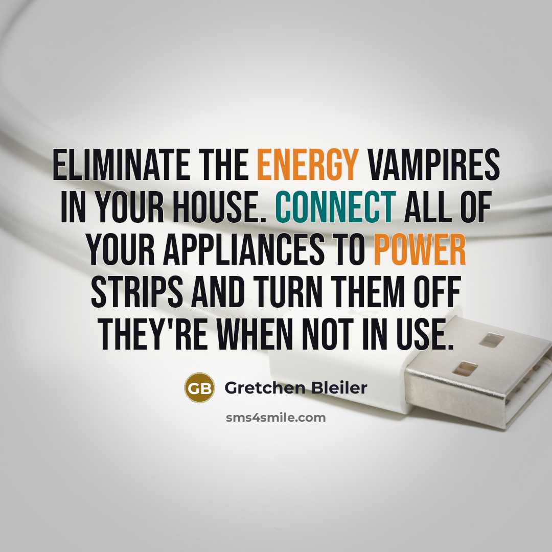 “Eliminate the energy vampires in your house. Connect all of your appliances to power strips and turn them off they're when not in use.” quote by Gretchen Bleiler