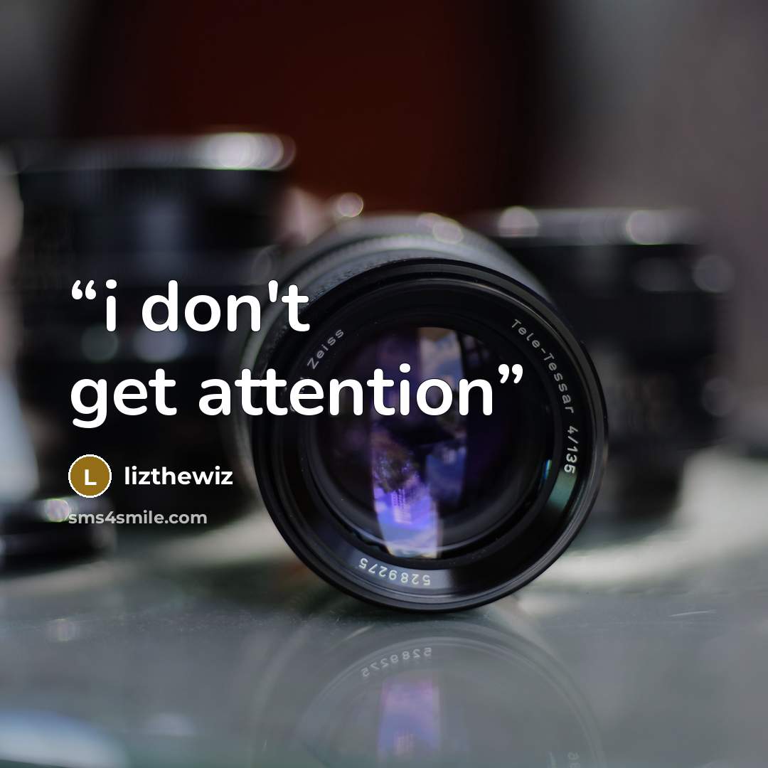 “i don't get attention” quote by lizthewiz