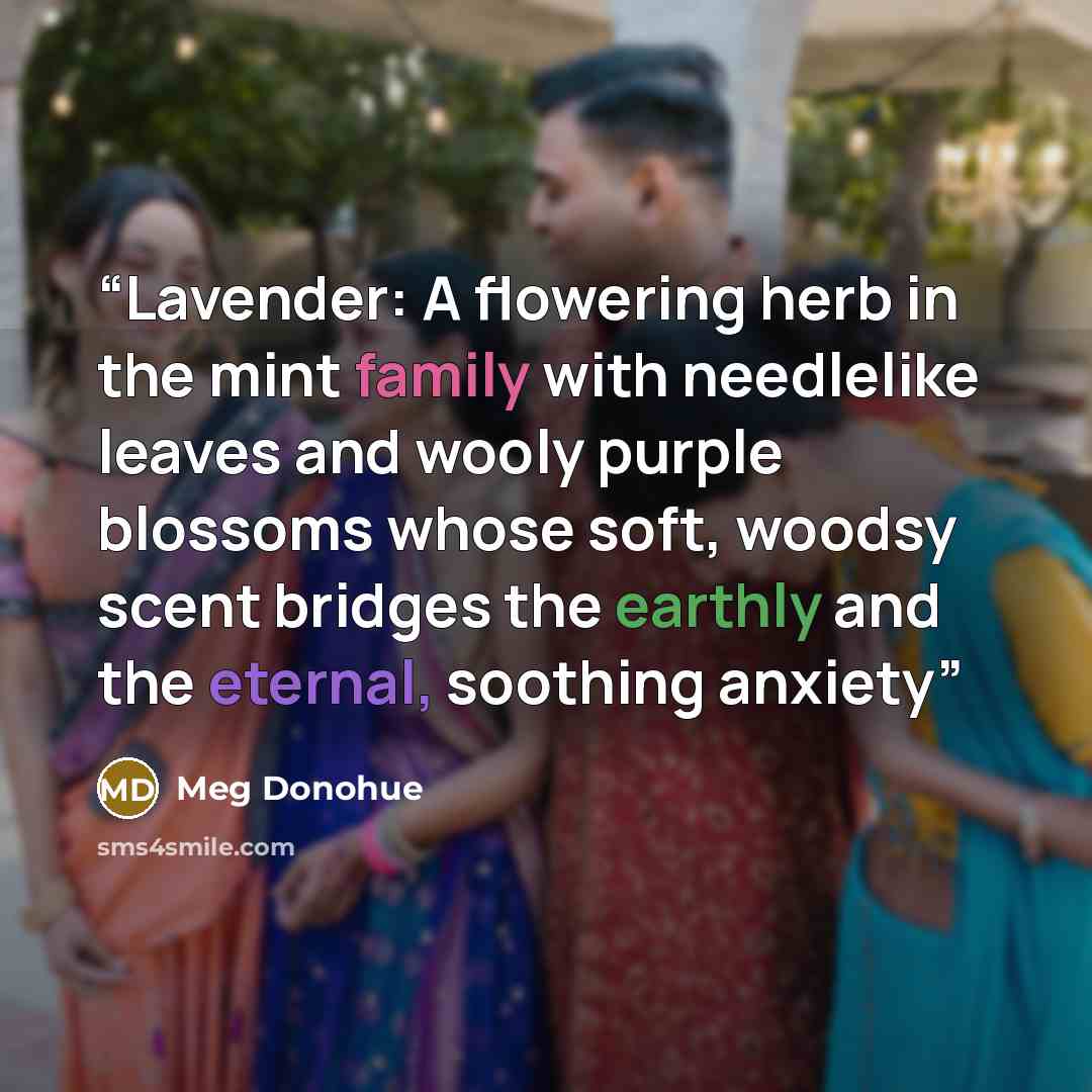 “Lavender: A flowering herb in the mint family with needlelike leaves and wooly purple blossoms whose soft, woodsy scent bridges the earthly and the eternal, soothing anxiety” quote by Meg Donohue