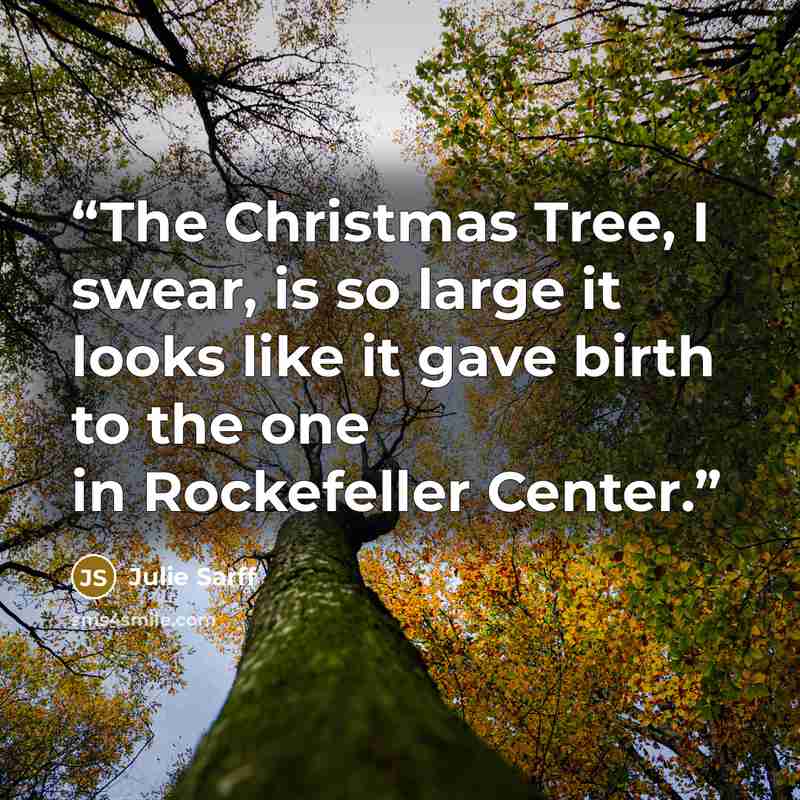 “The Christmas Tree, I swear, is so large it looks like it gave birth to the one in Rockefeller Center.” quote by Julie Sarff