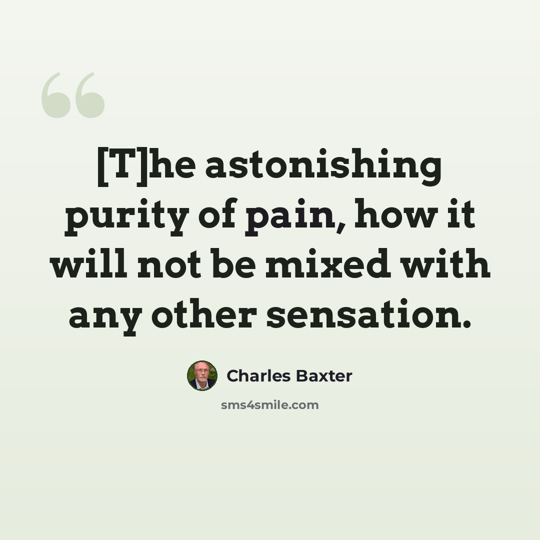 “[T]he astonishing purity of pain, how it will not be mixed with any other sensation.” quote by Charles Baxter