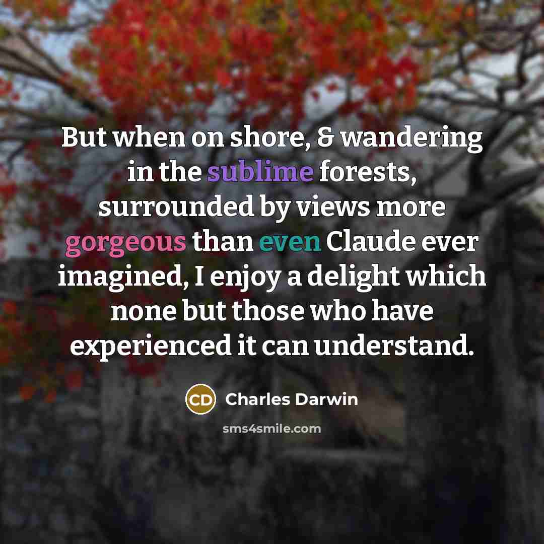 “But when on shore, & wandering in the sublime forests, surrounded by views more gorgeous than even Claude ever imagined, I enjoy a delight which none but those who have experienced it can understand.” quote by Charles Darwin