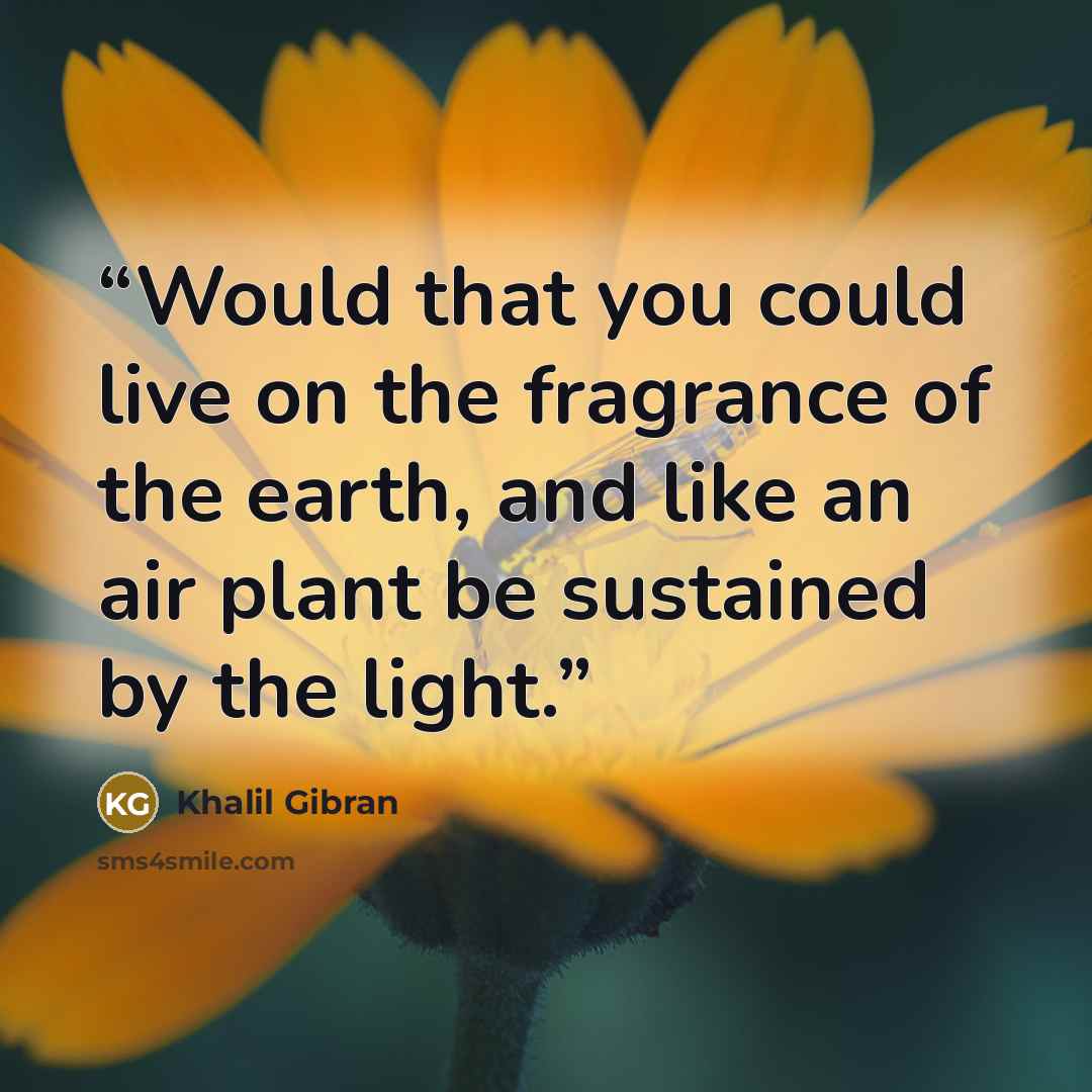 “Would that you could live on the fragrance of the earth, and like an air plant be sustained by the light.” quote by Khalil Gibran