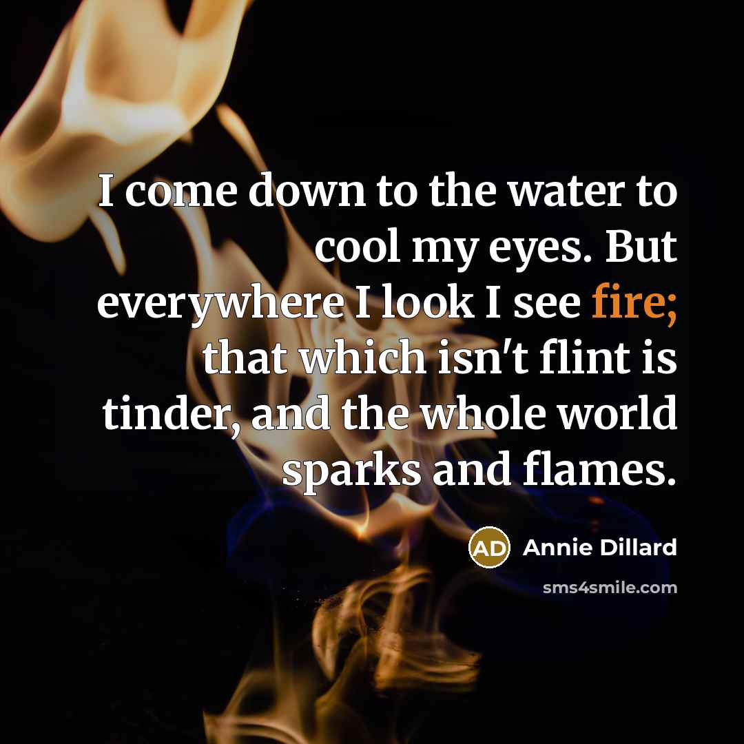 “I come down to the water to cool my eyes. But everywhere I look I see fire; that which isn't flint is tinder, and the whole world sparks and flames.” quote by Annie Dillard