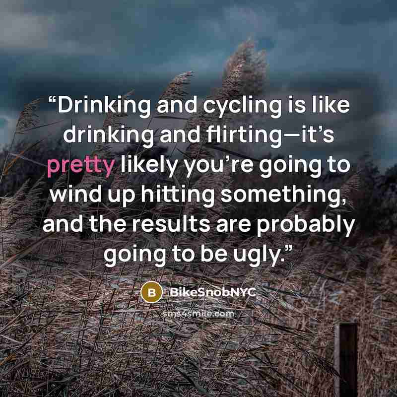“Drinking and cycling is like drinking and flirting—it’s pretty likely you’re going to wind up hitting something, and the results are probably going to be ugly.” quote by BikeSnobNYC